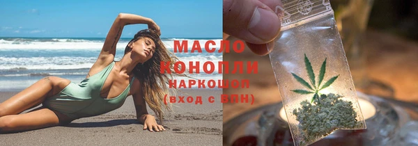 стафф Ельня