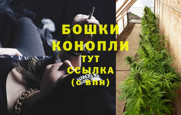 трава Заводоуковск