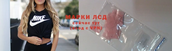 стафф Ельня