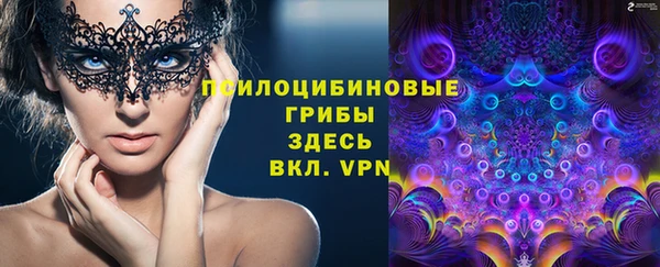 амф Елабуга