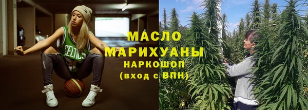 стафф Ельня