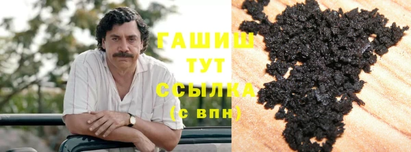 стафф Ельня