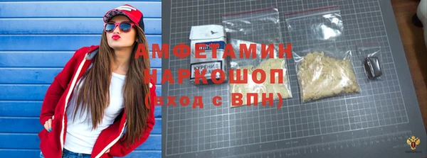 стафф Ельня