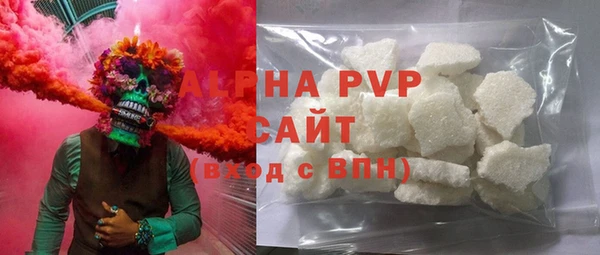 стафф Ельня