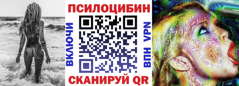 Псилоцибиновые грибы Psilocybe  Купить где  Верея 