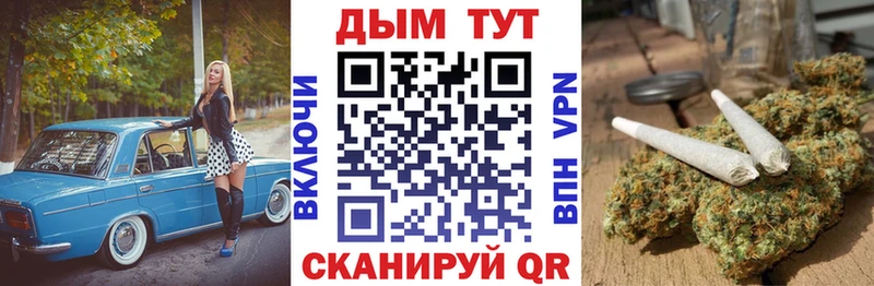 Канабис сатива  Купить закладки  Верея 